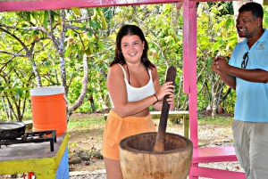 Punta Cana:Paseo en buggie ,caballo y ziplines en la selva