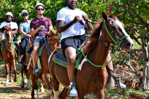 Punta Cana:Poursuite en buggy, caballo et ziplines dans la selva