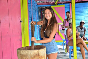 Punta Cana:Paseo en buggie ,caballo y tirolinas en la selva