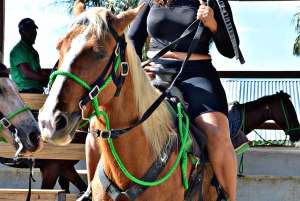 プンタ カナ: パセオ アン バギー、カバロ、ラ セルバのジップライン