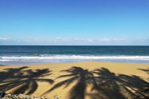 Punta Cana: Plantation Visit, Mt. Redonda, & Beach Visit