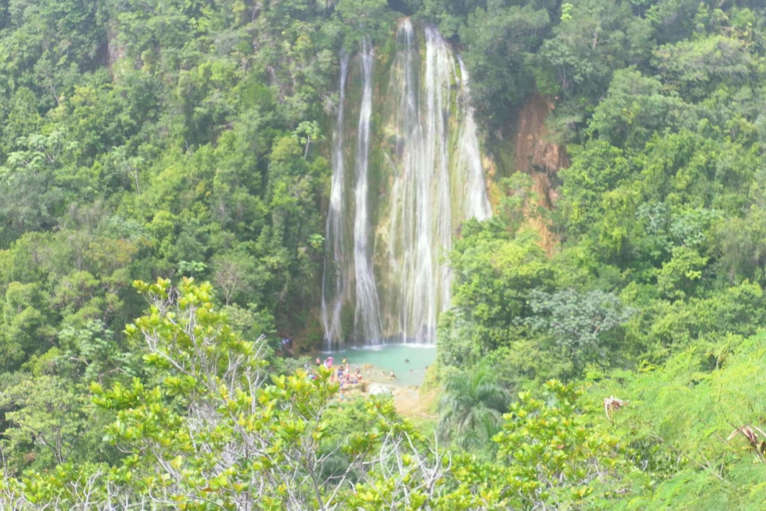 Punta Cana: Private Adventure to Samaná, Cayo Levantado