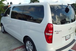 Punta Cana: Private Airport Transfer Service to Hotel