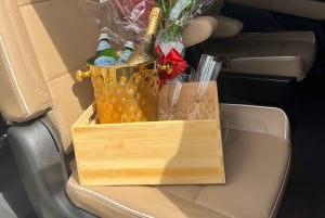 Punta Cana: Private Airport Transfer Service