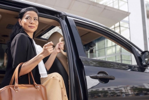 Punta Cana: Transfer aeroportuale privato