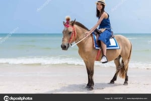 Punta Cana: Private Buggy, Horseback, Zipline & Catamaran