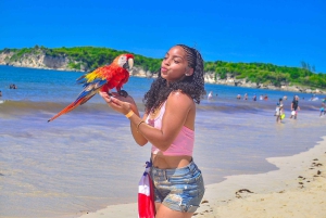 Punta Cana: Private Buggy Tour with Lunch and Cenote