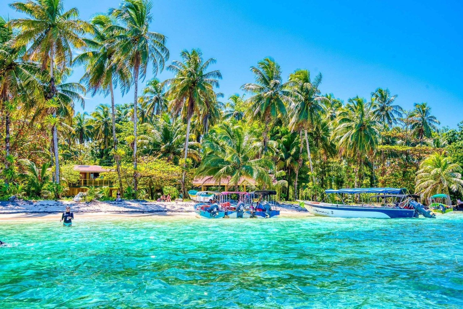 Пунта-Кана: частный сноркелинг-тур у острова Каталина