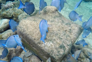 Пунта-Кана: частный сноркелинг-тур у острова Каталина