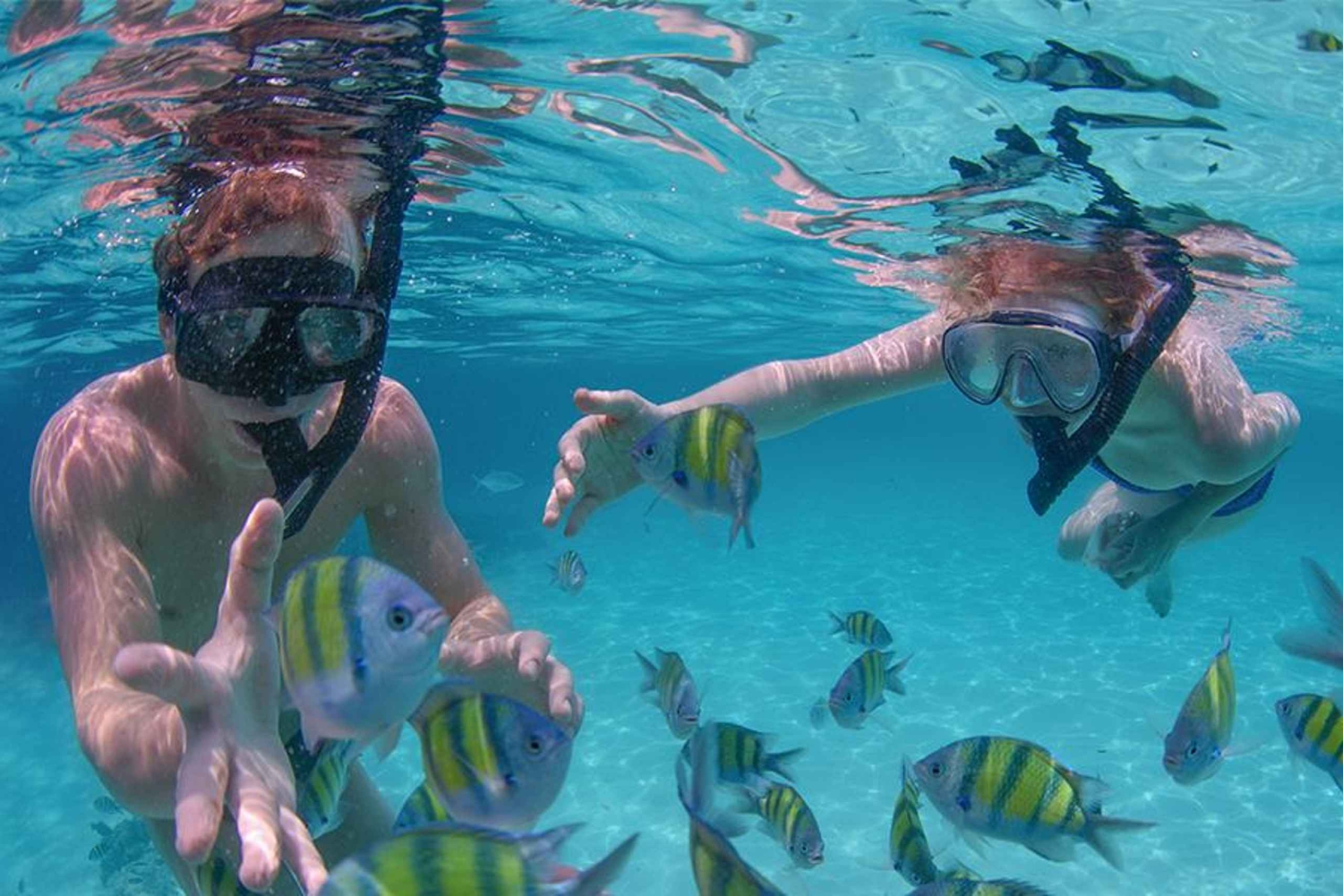 Punta Cana privat katamaran (liten gruppe)