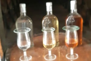 Пунта-Кана: частная полудневная культурная экскурсия «Доминиканские ароматы»