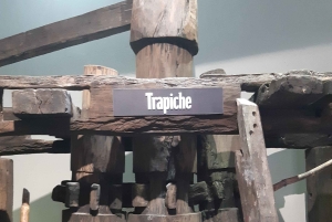 Punta Cana: Private Dominican Flavors Cultural Half-Day Trip