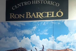 Punta Cana: Private Dominican Flavors Cultural Half-Day Trip