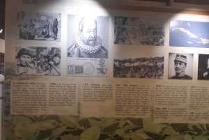 Punta Cana: Private Dominican Flavors Cultural Half-Day Trip