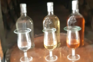 Punta Cana: Private Dominican Flavors Cultural Half-Day Trip