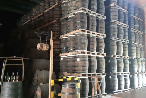 Punta Cana: Private Dominican Flavors Cultural Half-Day Trip