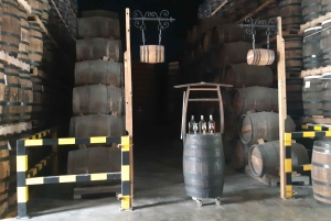 Punta Cana: Private Dominican Flavors Cultural Half-Day Trip