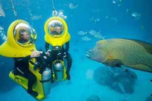 Punta Cana: Private Guided Power Dive Adventure with Music