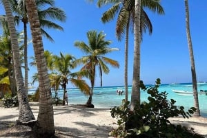 Punta Cana: privé safari Higüey met lunch en strandtijd