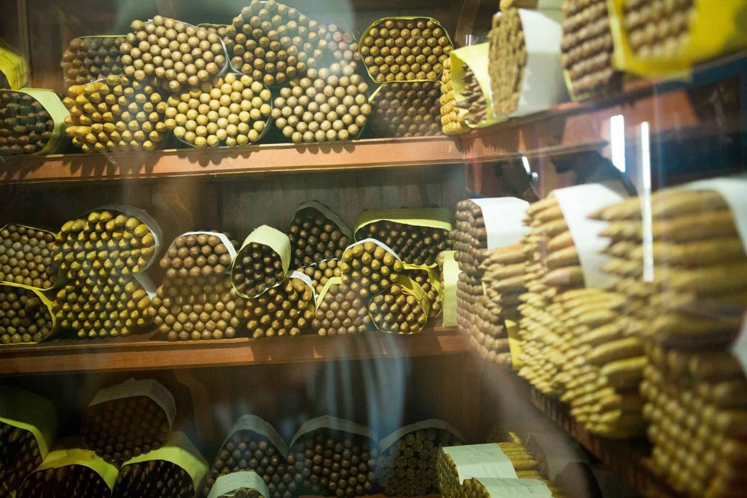 Punta Cana :Private Hummer Tour villages outback Macao beach