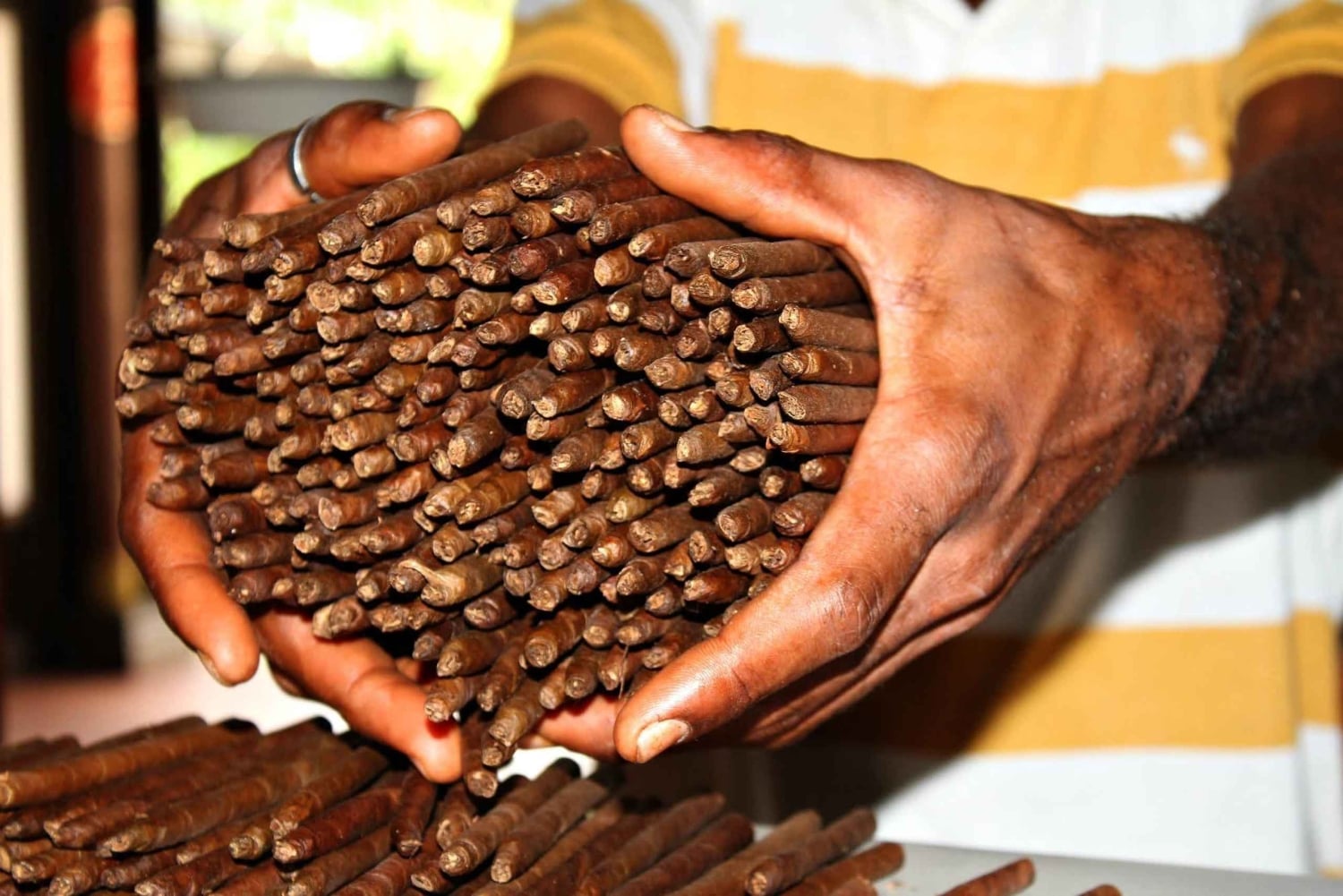 Punta Cana :Private Hummer Tour villages outback Macao beach