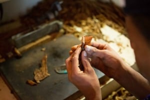 Punta Cana :Private Hummer Tour villages outback Macao beach