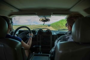 Punta Cana :Private Hummer Tour villages outback Macao beach