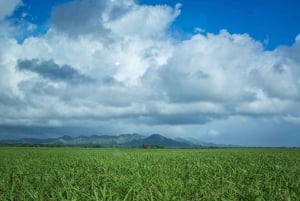 Punta Cana :Private Hummer Tour villages outback Macao beach