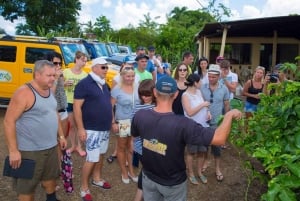 Punta Cana :Private Hummer Tour villages outback Macao beach