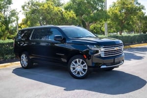 Punta Cana: Private Luxury Airport Transfer with VIP Service