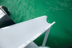 Prywatny rejs mega katamaranem w Punta Cana z nurkowaniem i barem