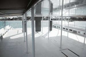 Prywatny rejs mega katamaranem w Punta Cana z nurkowaniem i barem