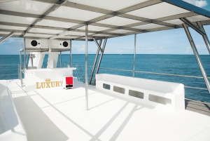 Punta Cana Private Mega Catamaran Tour with Snorkeling & Bar
