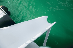 Punta Cana Private Mega Catamaran Tour with Snorkeling & Bar