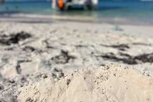Punta Cana: Crociera privata in barca con bevande e spuntini