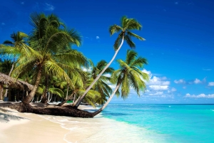 Punta Cana: Private Saona Island Full-Day Tour, Natural Pool