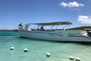 Punta Cana: Private Saona Island Full-Day Tour, Natural Pool