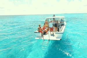 Punta Cana: Private Saona Island Full-Day Tour, Natural Pool