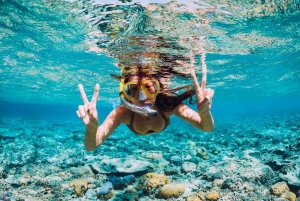 Punta Cana: Passeio de lancha e mergulho com snorkel nas piscinas naturais de Bávaro