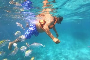 Punta Cana: Passeio de lancha e mergulho com snorkel nas piscinas naturais de Bávaro