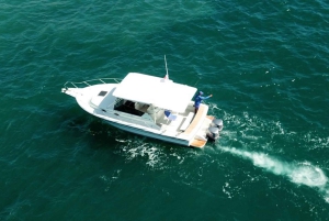 Punta Cana: viagem privada de pesca à corrica com serviço de busca