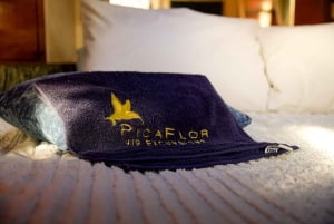 Punta Cana: Private Yacht Charter with Snorkeling