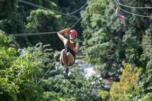 Punta Cana: Rainforest Zipline Adventure