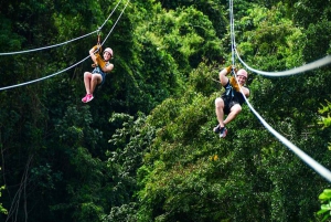 Punta Cana: Rainforest Zipline Adventure