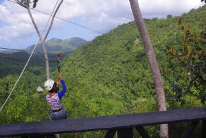 Punta Cana: Rainforest Zipline Adventure