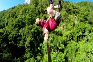 Punta Cana: Rainforest Zipline Adventure