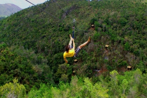 Punta Cana: Rainforest Zipline Adventure