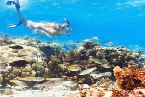 Punta Cana: Snorkling og massasjetur med revutforsker