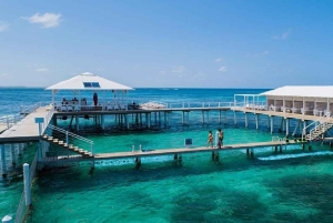 Punta Cana: Snorkling og massasjetur med revutforsker