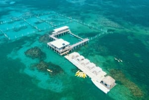 Punta Cana: Reef Explorer Access w/ Sharks & Stingrays Swim